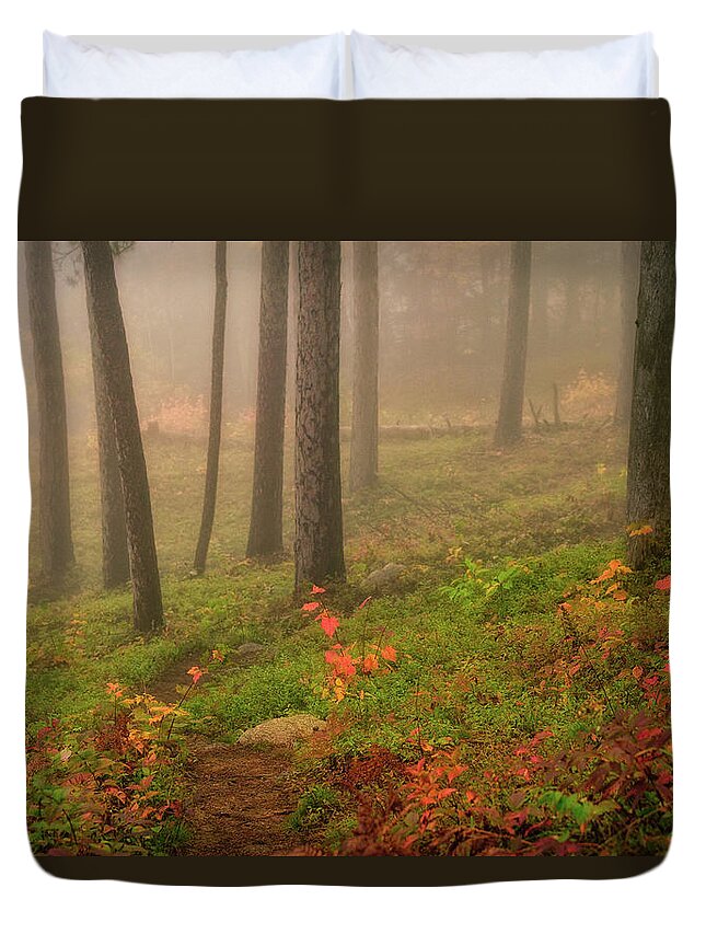New Hampshire Duvet Cover featuring the photograph Mist In The Glade. by Jeff Sinon