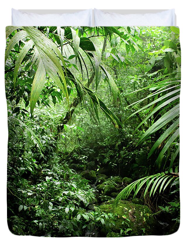 #faatoppicks Duvet Cover featuring the photograph Misty Rainforest Creek by Nicklas Gustafsson