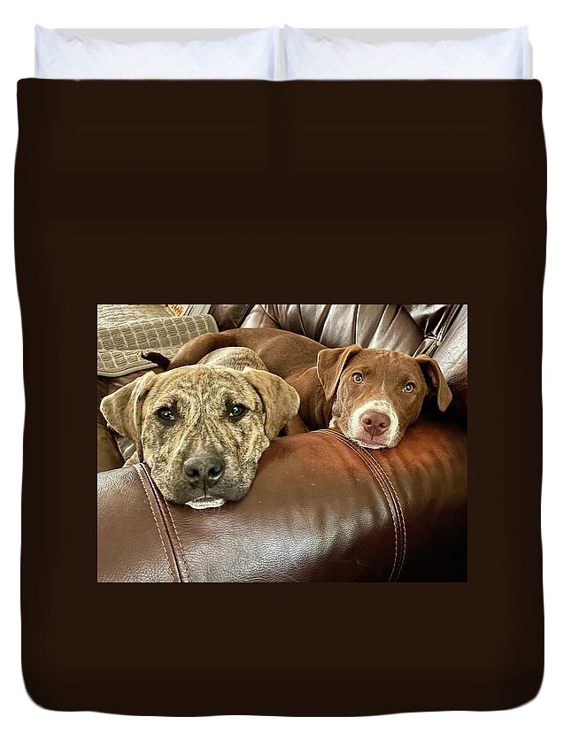 Dog Duvet Cover featuring the photograph Molly and Roxie by Susan Jensen