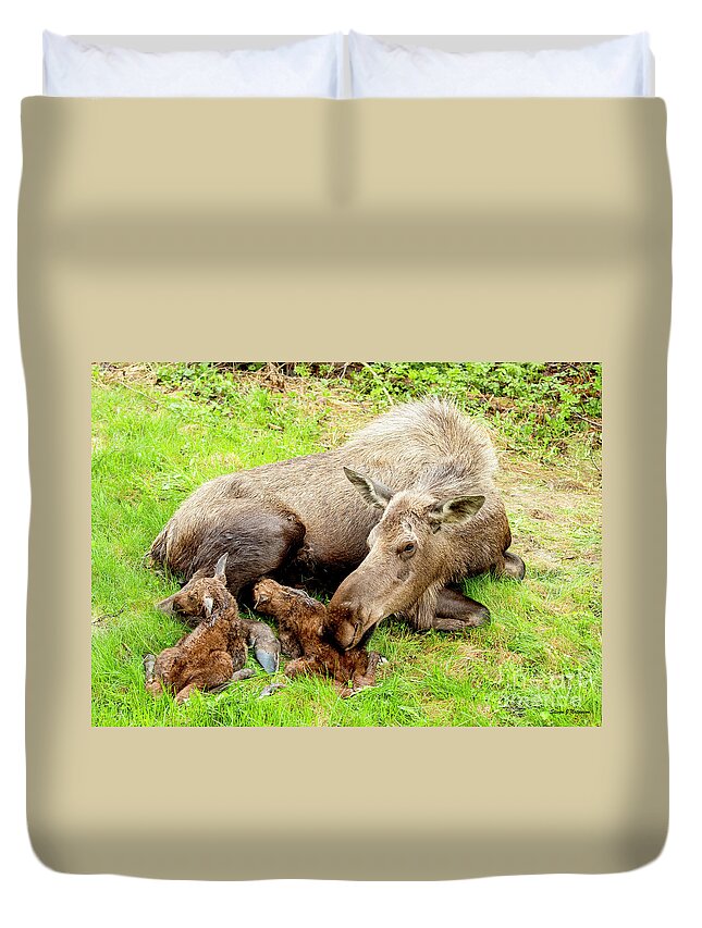 Natanson Duvet Cover featuring the photograph Mom and Babies by Steven Natanson