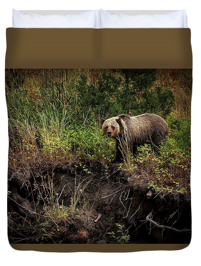 Landscape Duvet Cover featuring the photograph Moma Bear on North Fork by Craig J Satterlee
