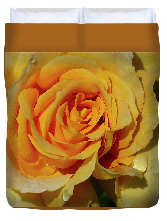 Yellow Duvet Cover featuring the photograph Moms Rose 28x28 by Gary Langley