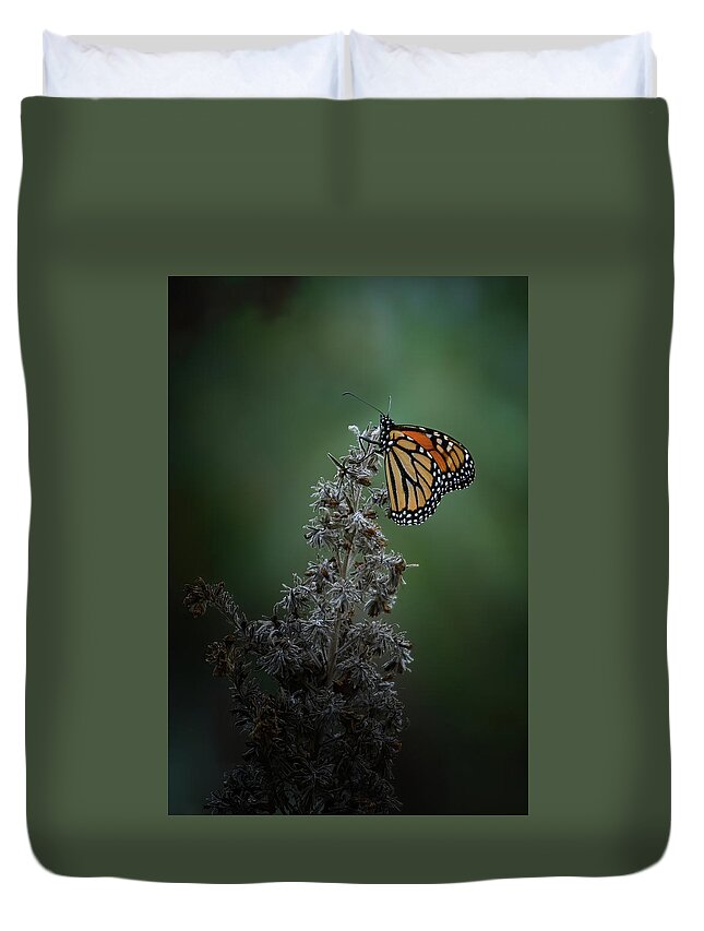 Butterflies Duvet Cover featuring the photograph Monarch Butterfly by Ernest Echols
