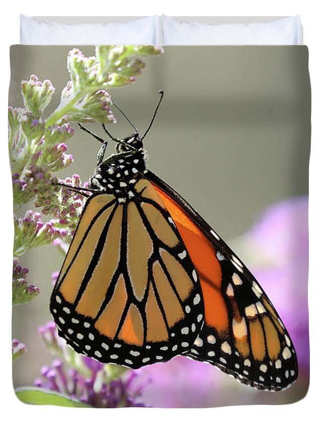 Monarch Duvet Cover featuring the photograph Monarch Butterfly by Vivian Krug Cotton