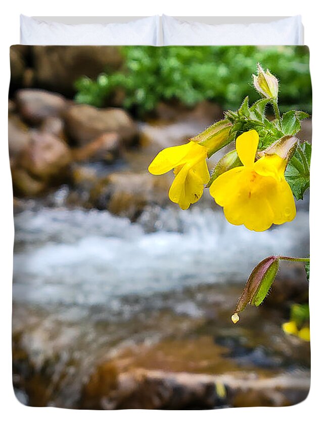 Monkey Flower Duvet Cover featuring the photograph Monkey Flower by Canyon Creek by Bonny Puckett