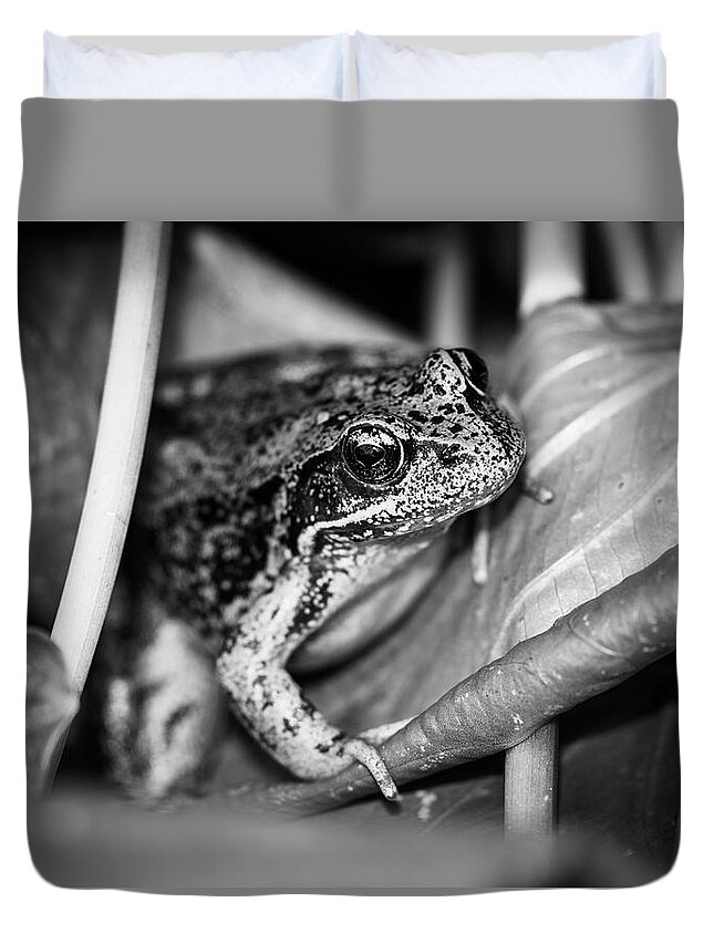 Afternoon Duvet Cover featuring the photograph Monochrome Frog on Wapato by Robert Potts