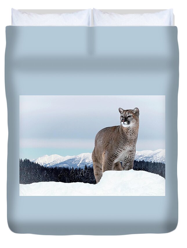 Cougar Duvet Cover featuring the photograph Montana Winter View by Art Cole