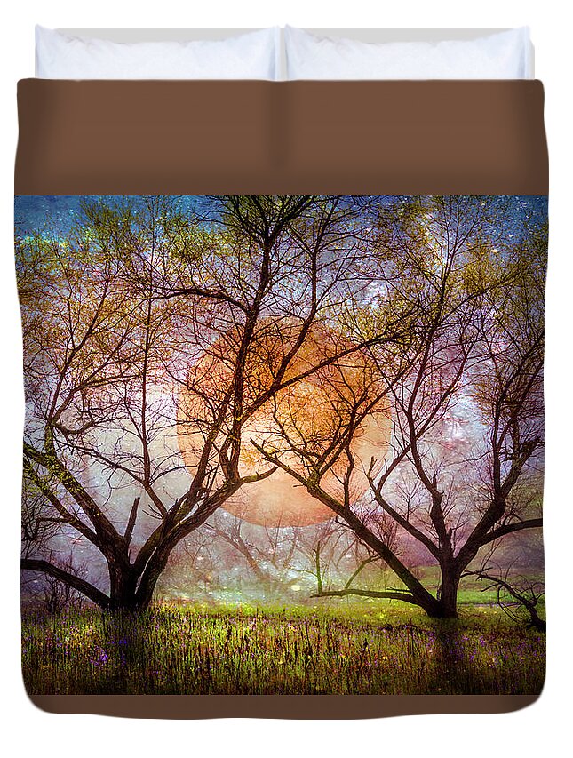 Carolina Duvet Cover featuring the photograph Moon Etchings on a Starry Night by Debra and Dave Vanderlaan