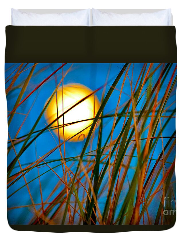 Moon Duvet Cover featuring the photograph Moon Splendor in the Grass by Debra Banks
