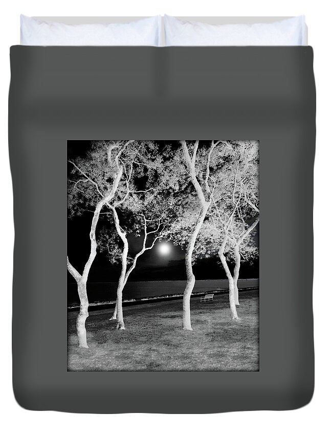 Trees Duvet Cover featuring the digital art Moonlit Trees By The Sea by Rebecca Grzenda