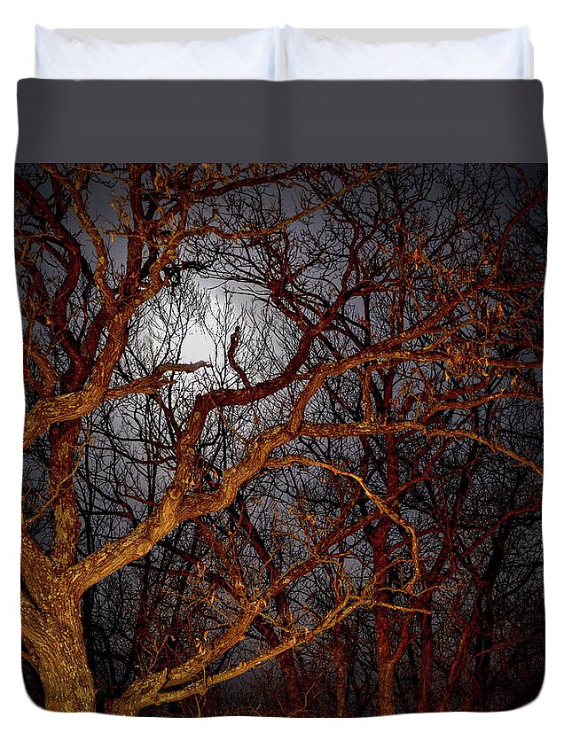 Full Moon Duvet Cover featuring the photograph Moonshine by Susie Loechler