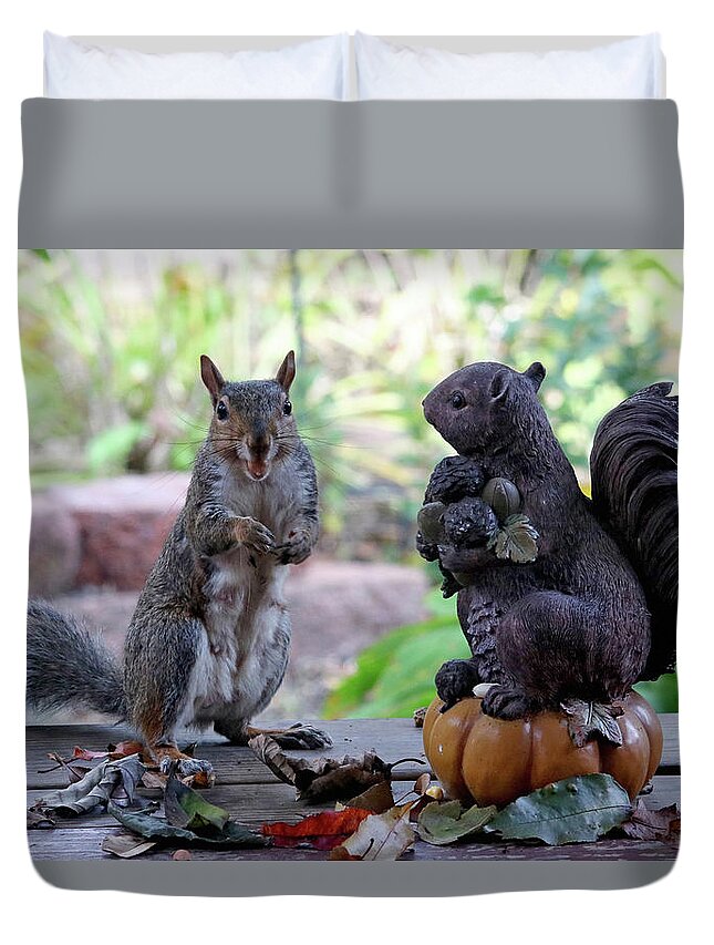 Squirrels Duvet Cover featuring the photograph More Nuts Please by Trina Ansel