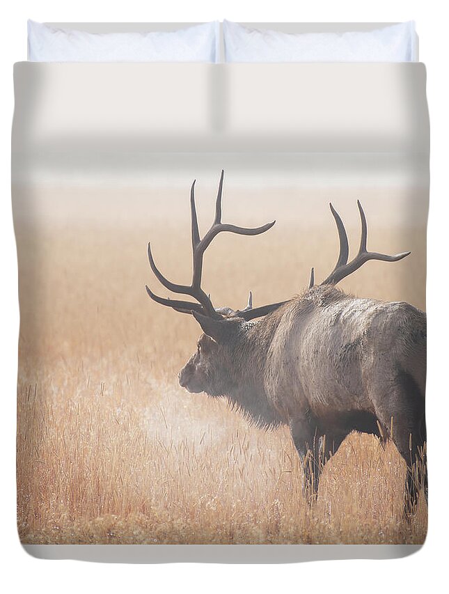 Elk Duvet Cover featuring the photograph Morning Breath by Darren White