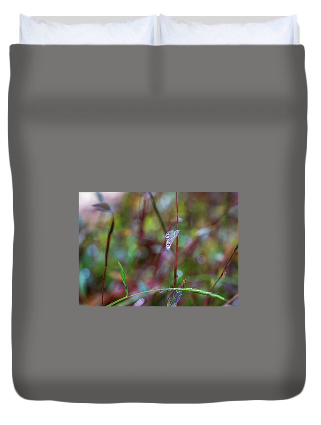 Water Drops Duvet Cover featuring the photograph Morning Dew on Grass by Amelia Pearn