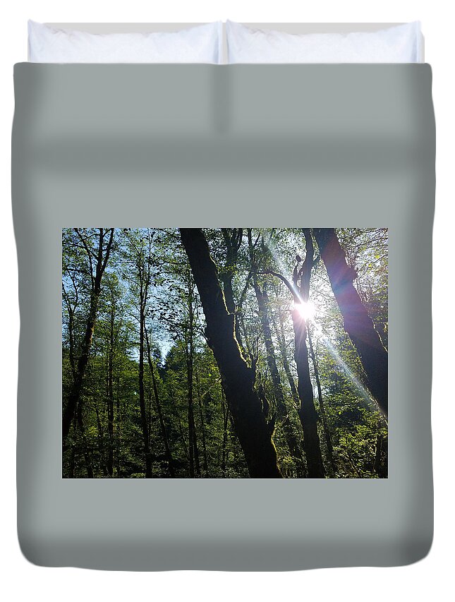 Morning Duvet Cover featuring the photograph Morning in the forest by Brent Knippel