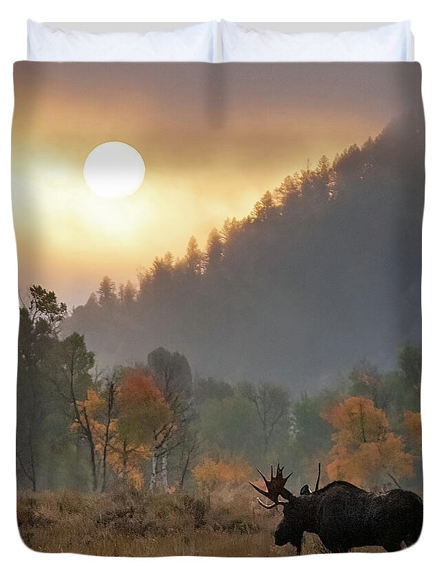 Moose Duvet Cover featuring the photograph Morning Moose by Max Waugh