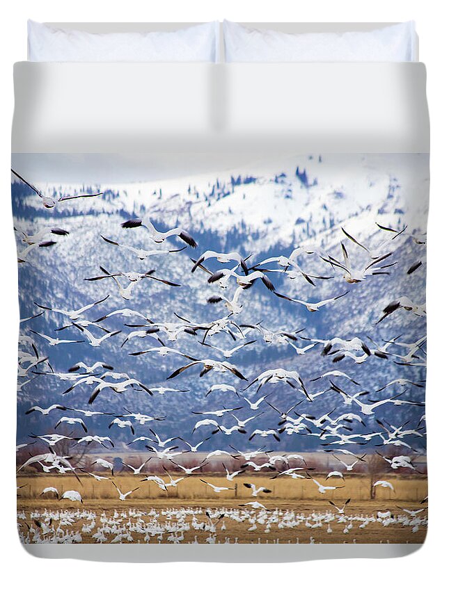 Lassen Duvet Cover featuring the photograph Morning Snow by Mike Lee