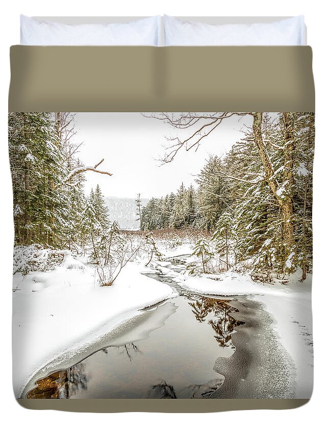 Pano Duvet Cover featuring the photograph Moss Lake Inlet by Rod Best