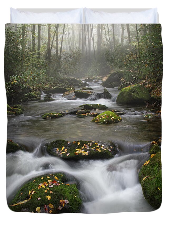 Middle Prong Trail Duvet Cover featuring the photograph Moss On Middle Prong 4 by Phil Perkins