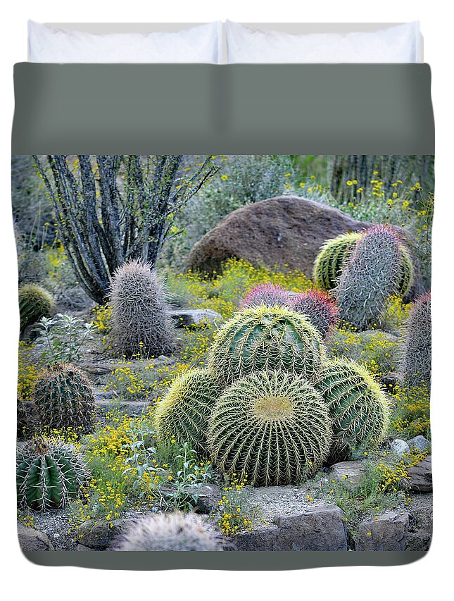 Golden Barrel Cactus Duvet Cover featuring the photograph Golden Barrel Cactus - Mother-in-law's Cushion, Palm Desert, CA. by Bonnie Colgan