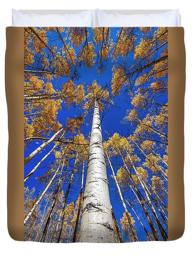 Design Duvet Cover featuring the photograph Mother Tree by Andy Crawford