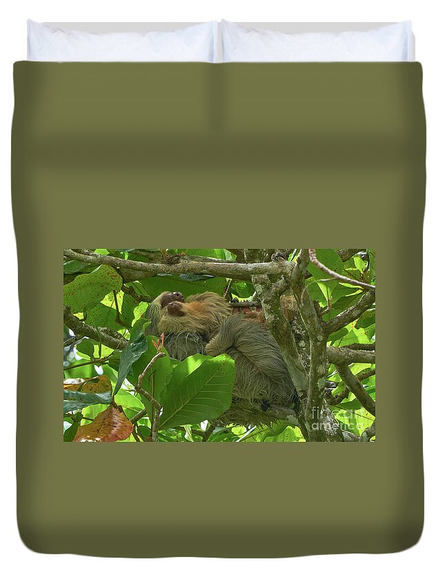 Costa Rica Duvet Cover featuring the photograph Mother's Love by Brian Kamprath