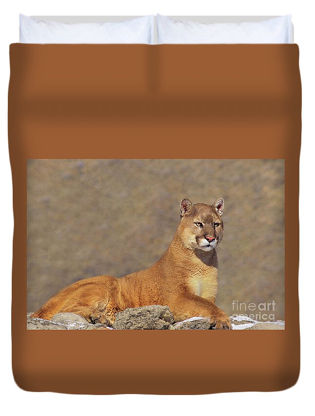 Dave Welling Duvet Cover featuring the photograph Mountain Lion On Rock Outcrop by Dave Welling