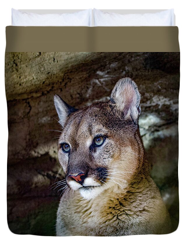 Mountain Lion Duvet Cover featuring the photograph Mountain Lion by Shirley Dutchkowski