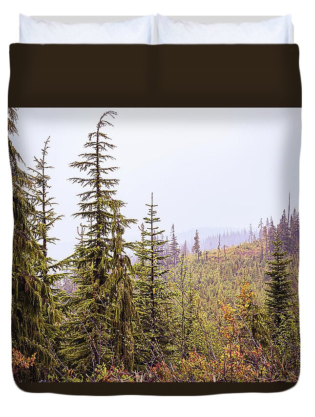 Landscapes Duvet Cover featuring the photograph Mountain Mist by Claude Dalley