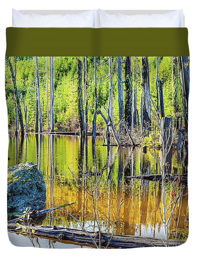 Landscapes Duvet Cover featuring the photograph Mountain Pond reflections by Claude Dalley