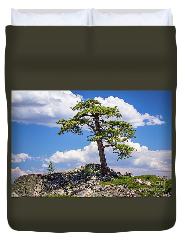 Duvet Cover featuring the photograph Mountain Top Tree by Vincent Bonafede