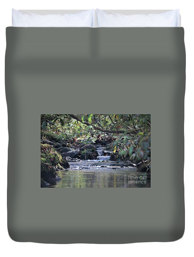Landscape Duvet Cover featuring the photograph Mountain Water , Smoky Mountains by Theresa D Williams