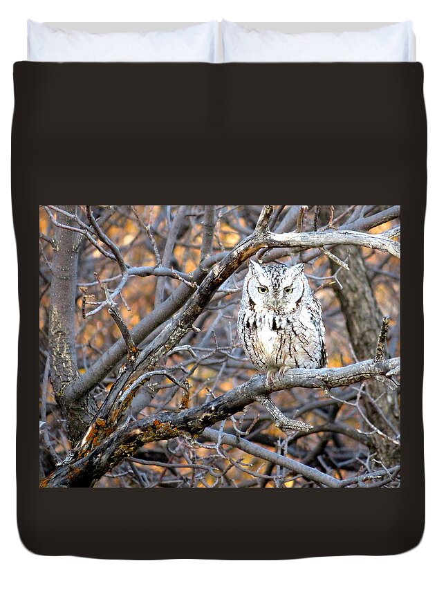 Owl Duvet Cover featuring the photograph Mouser Extraordinaire by Katie Keenan