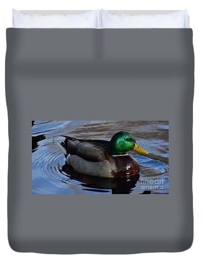 Duck Duvet Cover featuring the photograph Mr. Mallard by Jimmy Chuck Smith