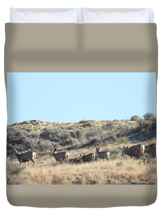 Mule Deer Duvet Cover featuring the photograph Mule Deer Herd by Amanda R Wright
