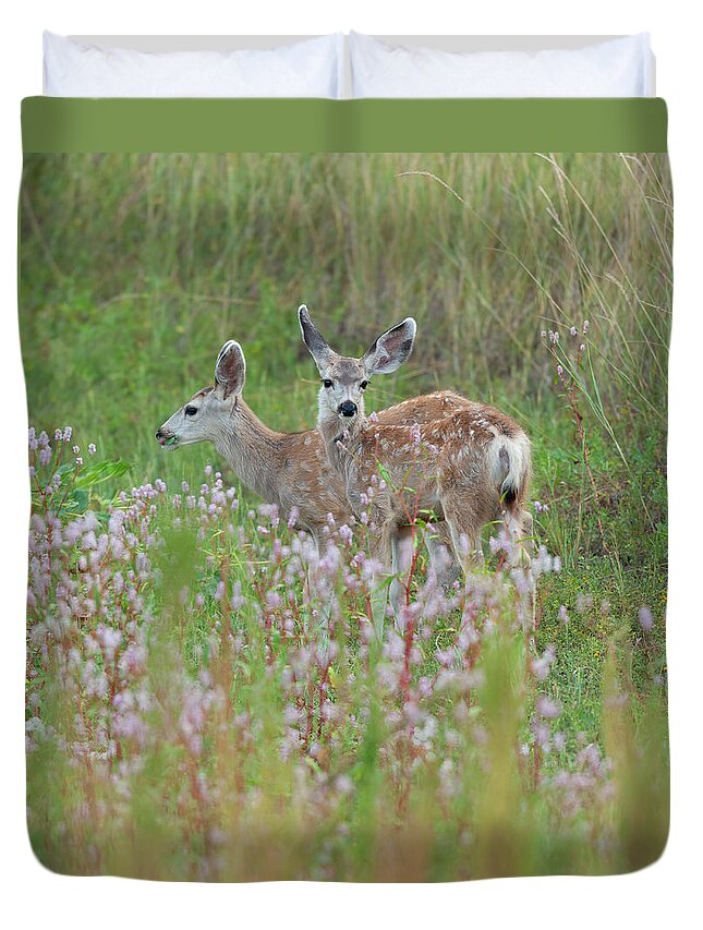 Mule Duvet Cover featuring the photograph Mule Deer Twins by Gary Langley