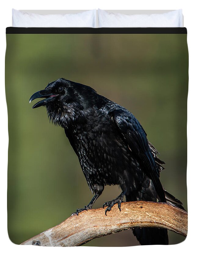 Raven Duvet Cover featuring the photograph Muninn the raven by Torbjorn Swenelius