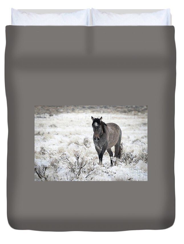 Wild Horses Duvet Cover featuring the photograph Mustang Snow by Julie Argyle