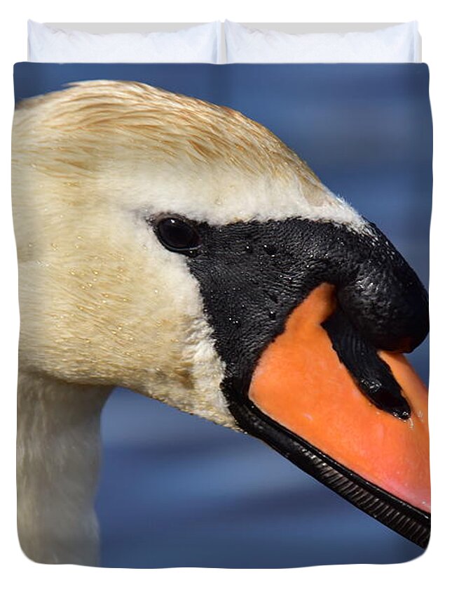 Mute Swan Duvet Cover featuring the photograph Mute Swan Portrait by Neil R Finlay