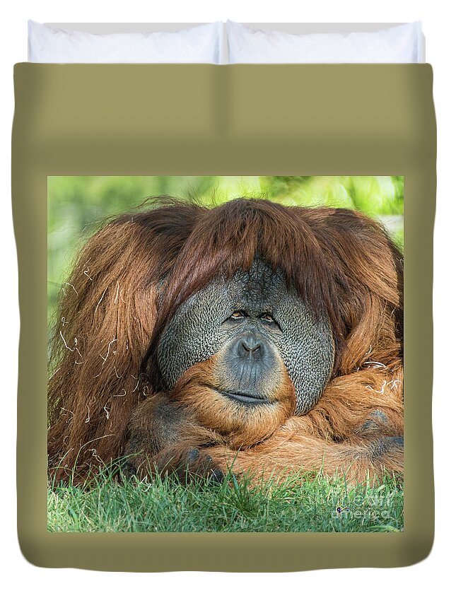 Brown Duvet Cover featuring the photograph My Friendly Look by David Levin