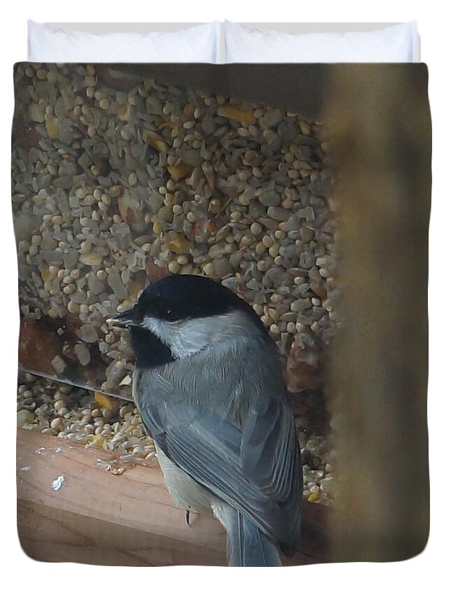 Chickadee Duvet Cover featuring the photograph My Little Chickadee by Maxine Billings