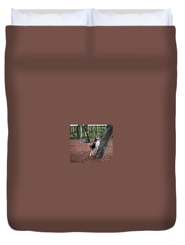 Dog Duvet Cover featuring the photograph My Yard by C Winslow Shafer