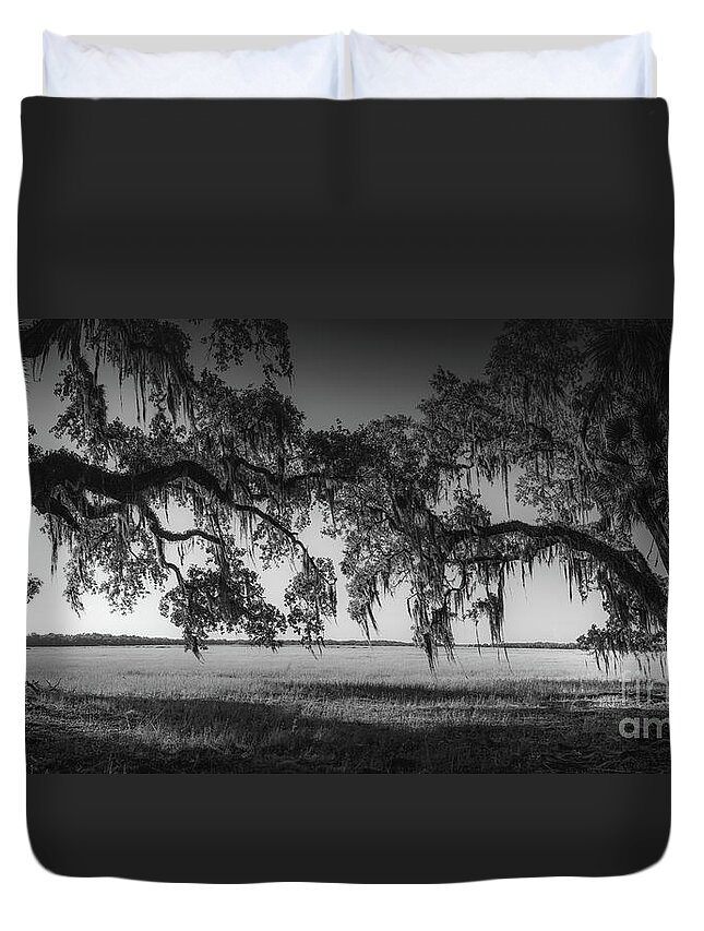 Black And White Duvet Cover featuring the photograph Myakka River State Park Prairie, Florida, BW by Liesl Walsh