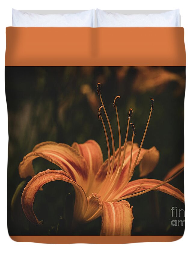 Flower Duvet Cover featuring the photograph Mysterious Daylily by Adelaide Lin