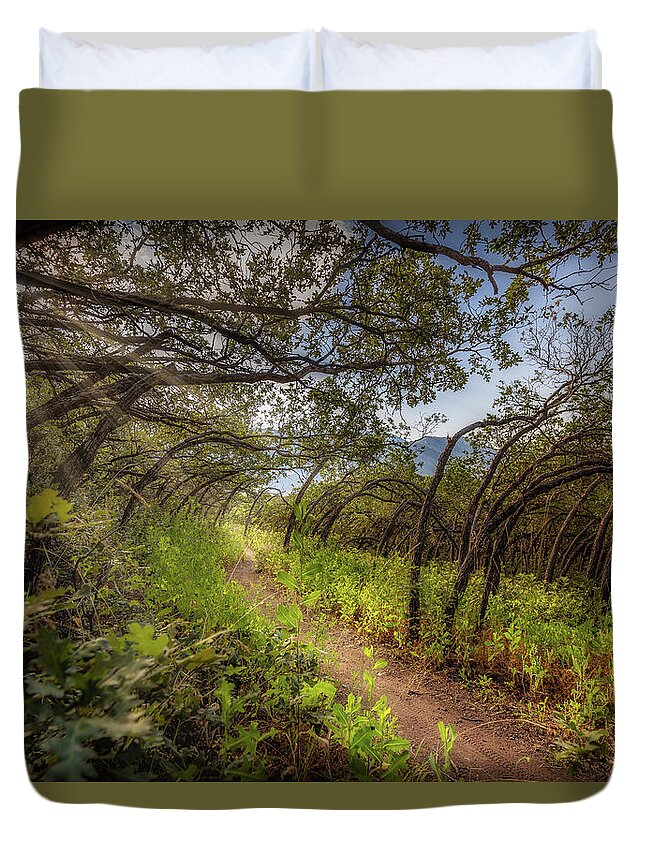 Woods Duvet Cover featuring the photograph Mystical Worshipping Woods by Bradley Morris