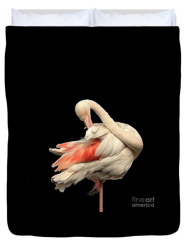 Flamingo Posing Ballerina Gentle Delicate Red Black Flexible Long Neck Curved White Pink Animal Big Elegant Elegance Single Alone Beauty Handsome Expressionistic Figure Character Expressive Charming Aesthetic Singular Shaped Modelling Posture Bird Natural History Powerful Beautiful Attractive Creative Stylish Striking Amazing Solo Fantastic Fabulous Proud Flexible Beak Vivid Contrast Sentimental Solitary Lonely Lonesome Loner Style Shy Hidden Feathers Standing One Leg Pretty Delightful Shy Wing Duvet Cover featuring the photograph Beautiful Flamingo Posing On One Leg Like A Ballerina On Effective Black Background by Tatiana Bogracheva