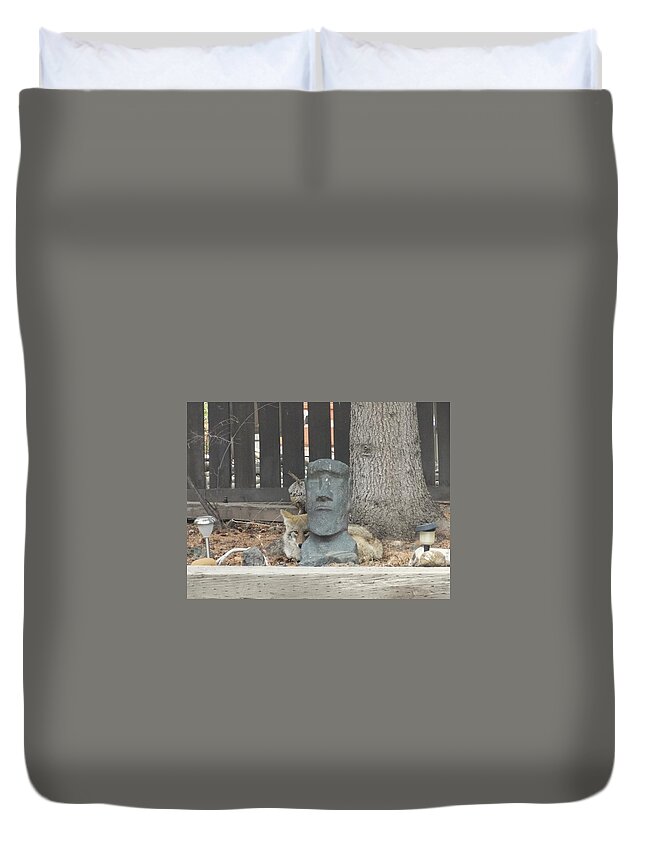 Coyote Duvet Cover featuring the photograph Napping coyote by Lisa Mutch