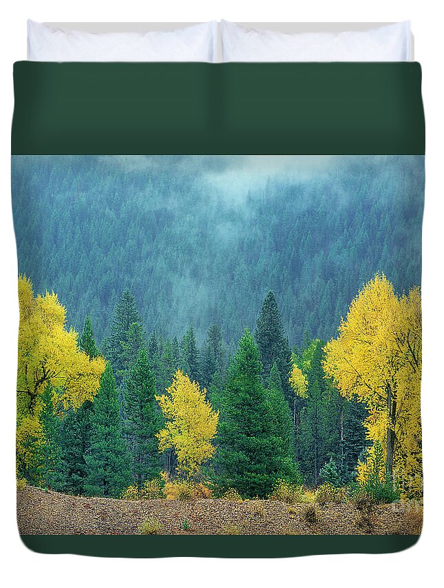 Dave Welling Duvet Cover featuring the photograph Narrowleaf Cottonwoods And Blur Spruce Trees In Grand Tetons by Dave Welling