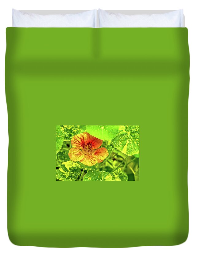 Nasturtium Duvet Cover featuring the photograph Nasturtium by Timothy Anable