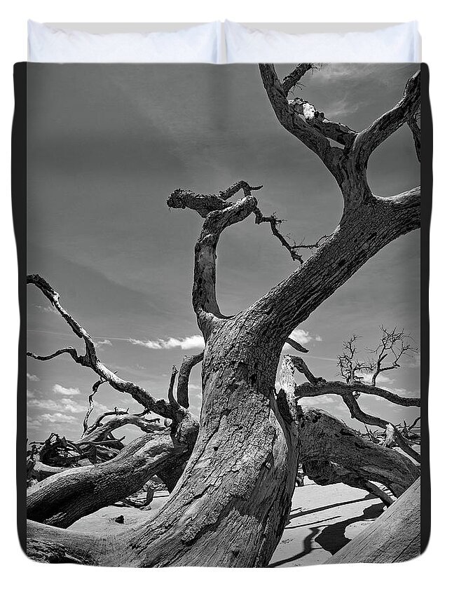 Tree Duvet Cover featuring the photograph Naturally Weathered by Mary Haber